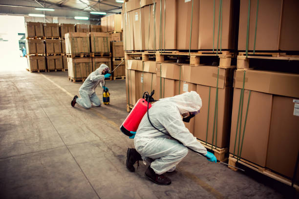 Best Best Pest Control Companies  in Clarksdale, MS