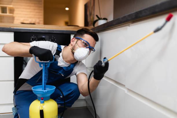 Best Wasp Removal Services  in Clarksdale, MS
