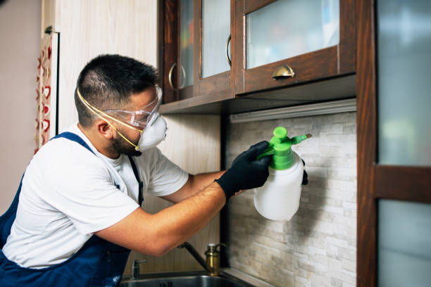 Best Exterminator Services  in Clarksdale, MS