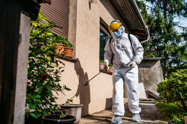 Wasp Removal Services in Clarksdale, MS