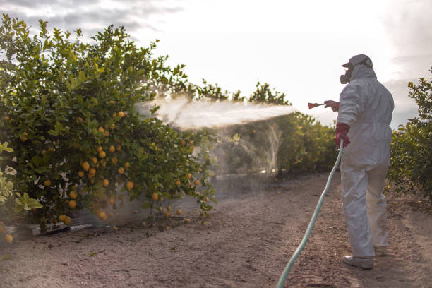 Best Wasp Removal Services  in Clarksdale, MS