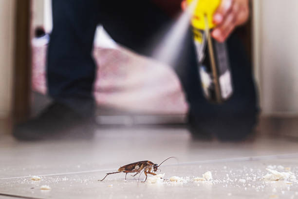 Best Affordable Pest Control Services  in Clarksdale, MS