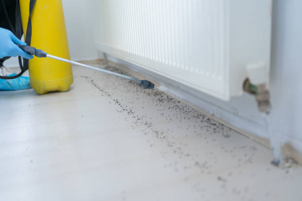 Professional Pest Control in Clarksdale, MS